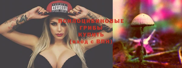амф Бугульма